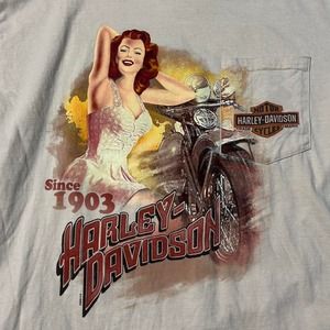 harley davidson 2009 pinup girl